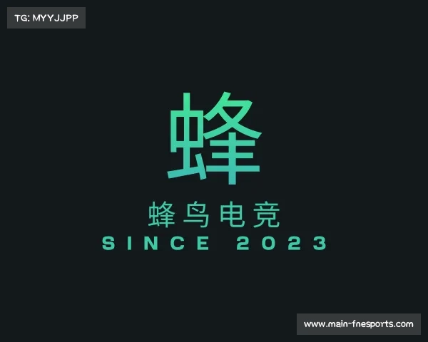 认识蜂鸟电竞